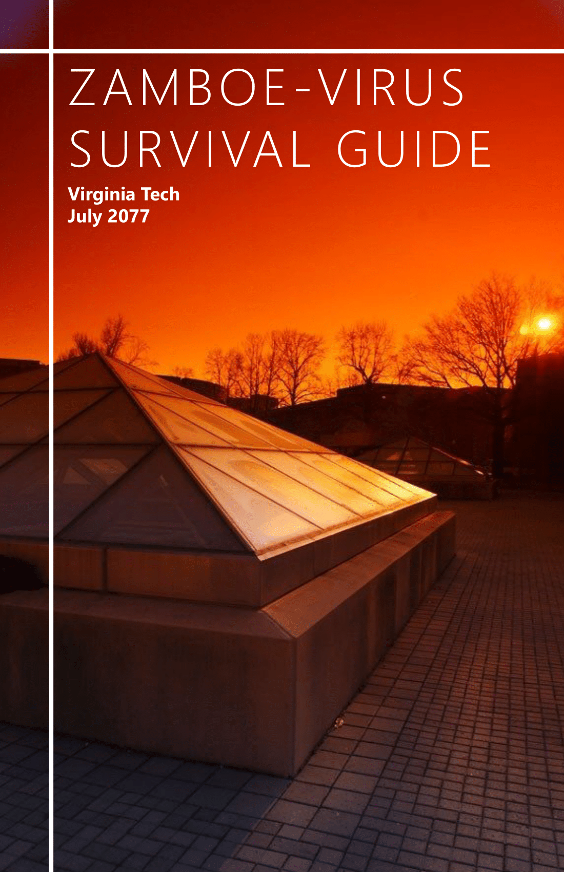 The text 'Zamboe-Virus Survival Guide' over an image of an orange sunset.